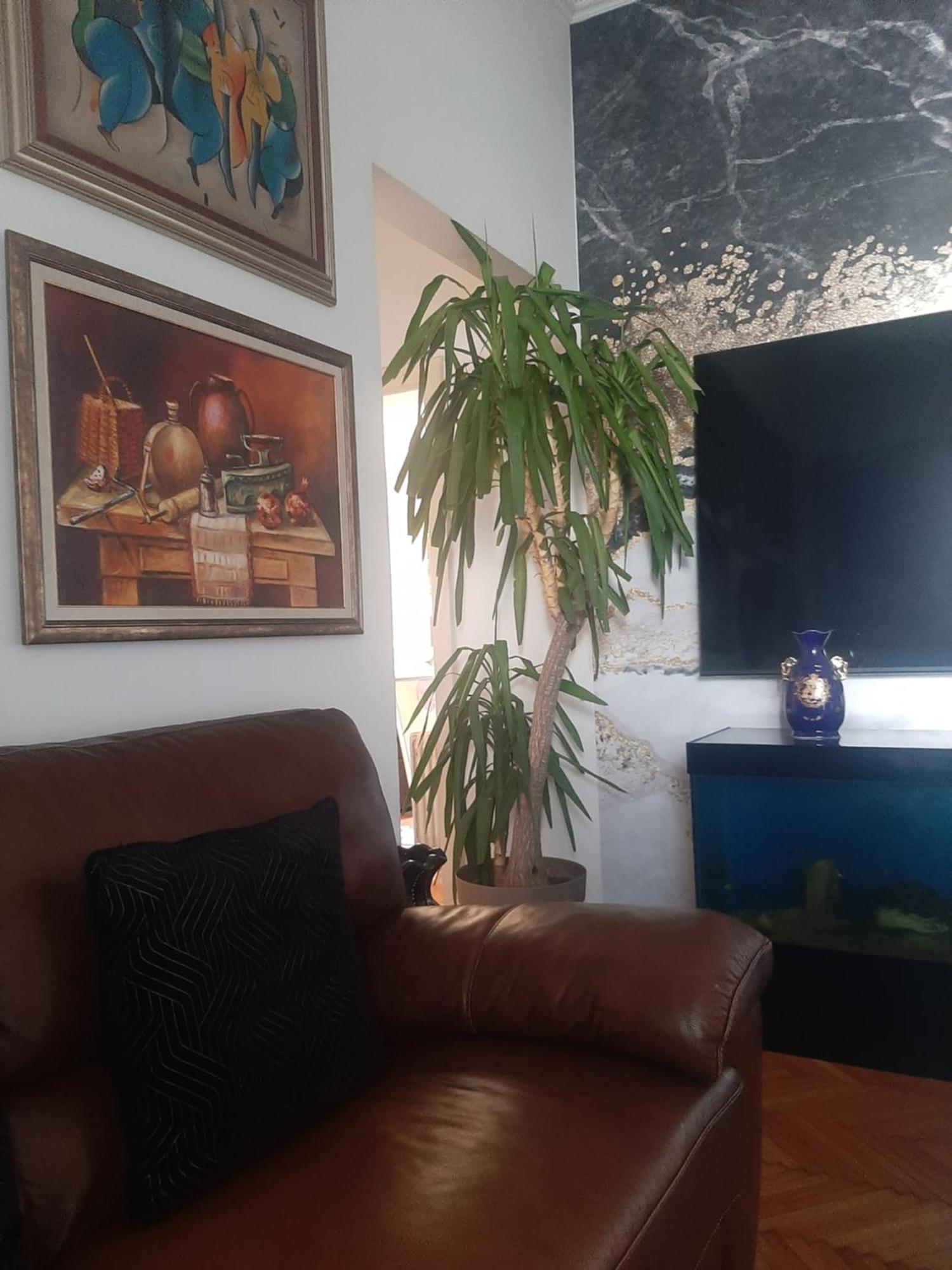 Stylish King Downtown Apartment Podgorica Ngoại thất bức ảnh